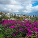 Funchal, Madeira