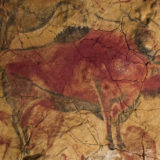 Prehistoric cave painting of a bison in Altamira, Spain