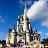 Theme Park Tourism