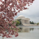 Spring in Washington, D.C.