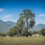 The Grampians National Park in Victoria