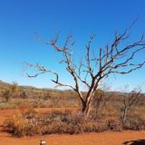 The outback in the Pilbara region of Western Australia