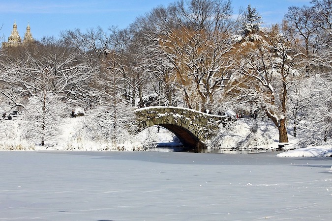 Central Park, New York (Public Domain Pictures, Pixabay)