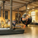 Exhibits at the Natural History Museum (Museum für Naturkunde)
