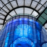 The AquaDom Aquarium inside the Radisson Blu Hotel
