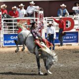 Calgary Stampede, Alberta