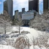 Central Park, New York