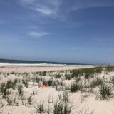 Fire Island National Seashore