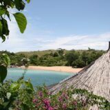 Lake Malawi