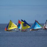 Regatta near Guadeloupe