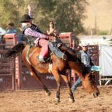 Wyoming rodeo