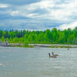 Snake River, Wyoming