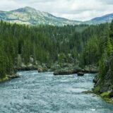 The Yellowstone River, Wyoming