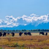 Grand Teton, Wyoming