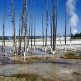 Yellowstone National Park, Wyoming